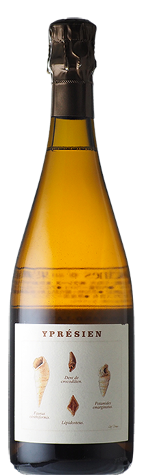  Yprésien / Legrand Latour イプレジアン / ルグラン・ラトゥール 2019