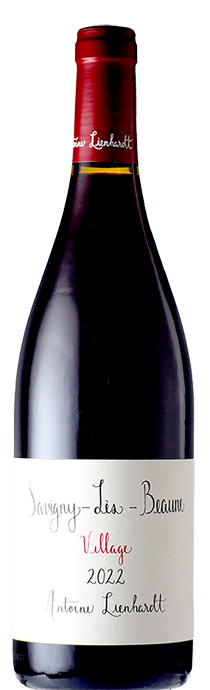  Savigny Les Beaune / Antoine Lienhardt サヴィニー・レ・ボーヌ / アントワンヌ・リエナルト 2022