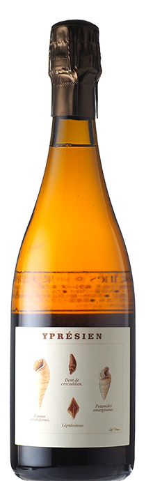  Yprésien / Legrand Latour イプレシアン / ルグラン・ラトゥール 2020