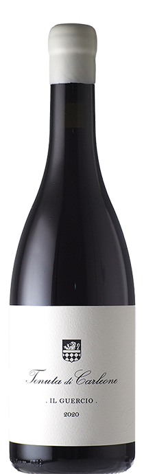  Il Guercio / Tenuta di Carleone イル・グエルチョ / テヌータ・ディ・カルレオーネ（トスカーナ） 2020