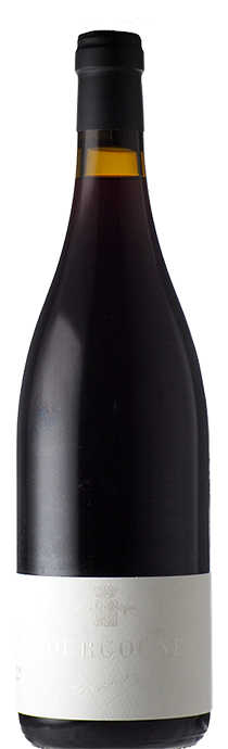  Bourgogne Rouges / Trapet Pere&fils ブルゴーニュ・ルージュ / トラペ　ペール＆フィス 2018